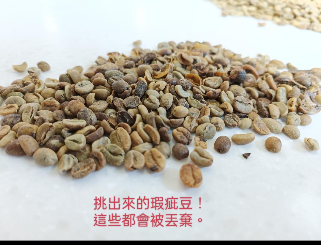 手工挑選咖啡生豆，剔除瑕疵豆